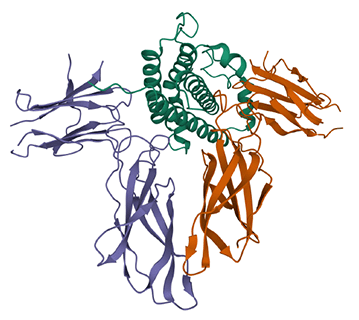 AZP-3813 Acromegal