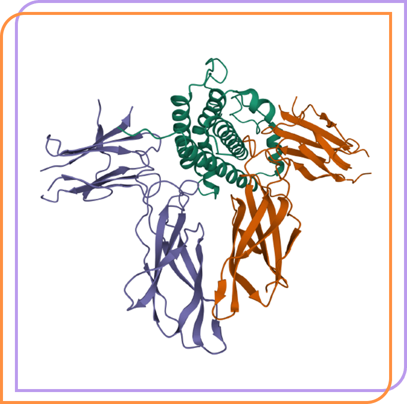 AZP-3813 Acromegal